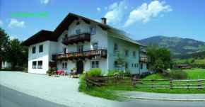 Отель Ferienhaus Dankl, Холлерсбах Пинцгау